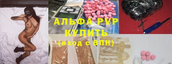 стафф Вяземский